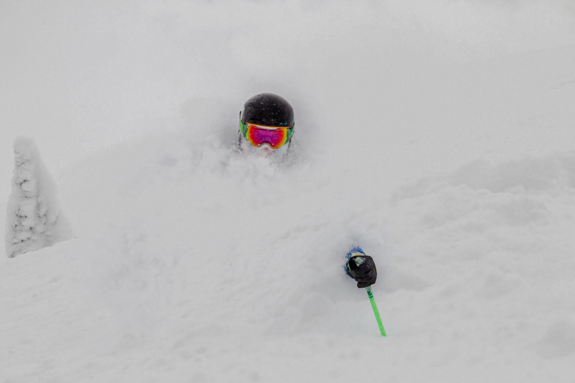 Teewinot Lodge By Grand Targhee Resort Alta Εξωτερικό φωτογραφία